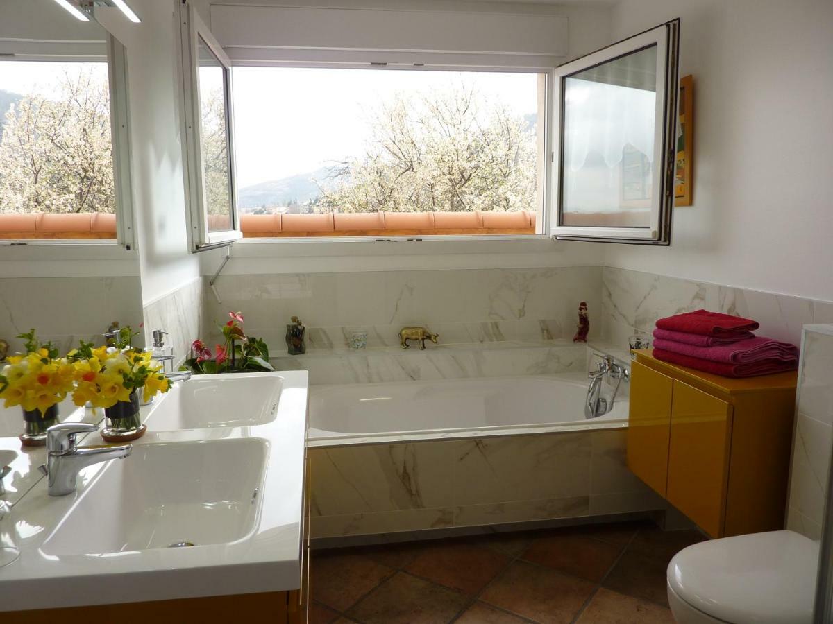 Les Terrasses De Bellemoure Cebazat Apartment Ngoại thất bức ảnh